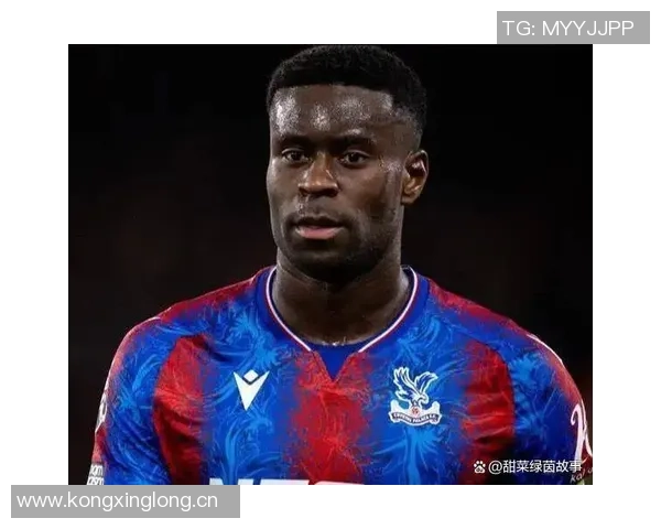 水晶宫计划一月出售格伊夏窗报价3500万不动摇